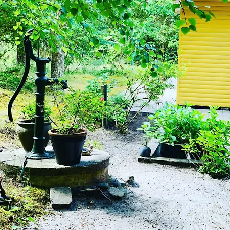 בית נופש Cosy In Forest Just 100 M From The